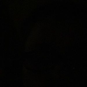 Meet your Posher, Tosha